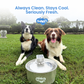 Wireless,  automatic water sensor pet drinking machine for cats and dogs. Continuous circulating fresh water intelligent drinking machine.