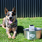 Wireless,  automatic water sensor pet drinking machine for cats and dogs. Continuous circulating fresh water intelligent drinking machine.
