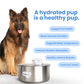 Wireless,  automatic water sensor pet drinking machine for cats and dogs. Continuous circulating fresh water intelligent drinking machine.