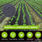 🔥Last Day 50% OFF - Premium Woven Weed Barrier