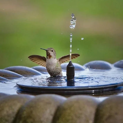 🔥Hot Sales 50% OFF🔥🔥Solar-powered bird fountains🐦️