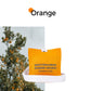 Hanging Car Fragrance Sachet