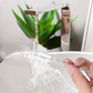 Auto Sunroof Drain Cleaning Tool – Flexible Pipe Brush