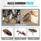 Indoor Fipronil Insect Control Spray