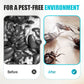 Indoor Fipronil Insect Control Spray