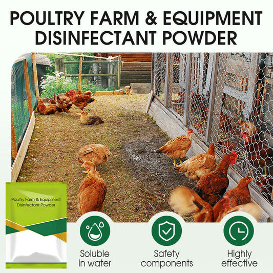 100 g disinfectant powder for poultry farms and equipmen