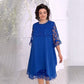 Sheer Breeze Layered Lace Dress