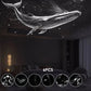 2-in-1 Starry Sky Projector & Night Light