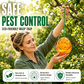 🔥HOT SALE 50% OFF⚡Eco Wasp Trap Outdoor