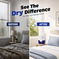 Portable Mini Dehumidifier for Home