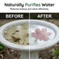 Universal Fit Bird Bath Purifier