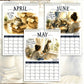 2027 A Cat's Life Wall Calendar
