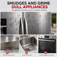 Multifunctional Stainless Steel Cleaner & Polish Spray