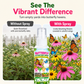 Outdoor Garden Butterfly Attracting Fragrance Spray 50ml