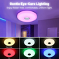 Smart LED Music Ceiling Light with Bluetooth Speaker