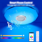 Smart LED Music Ceiling Light with Bluetooth Speaker
