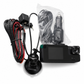 3-Channel 1080P HD Car Dashboard Camera