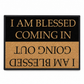 Thickened Crystal Velvet Doormat