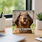 🦫 50% OFF – Funny Capybara Calendar 2027