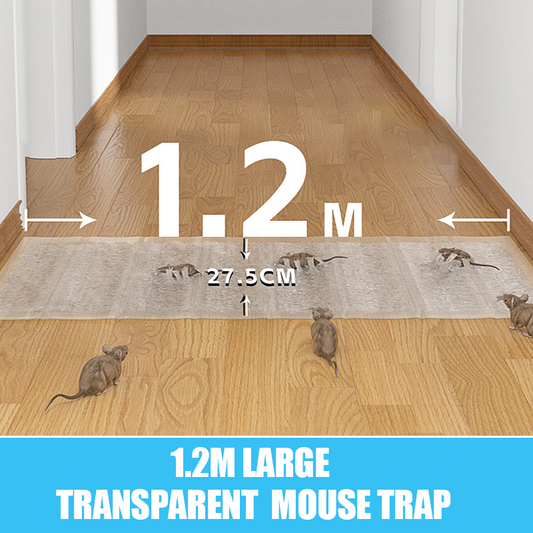 1.2M Large Transparent Mouse Trap